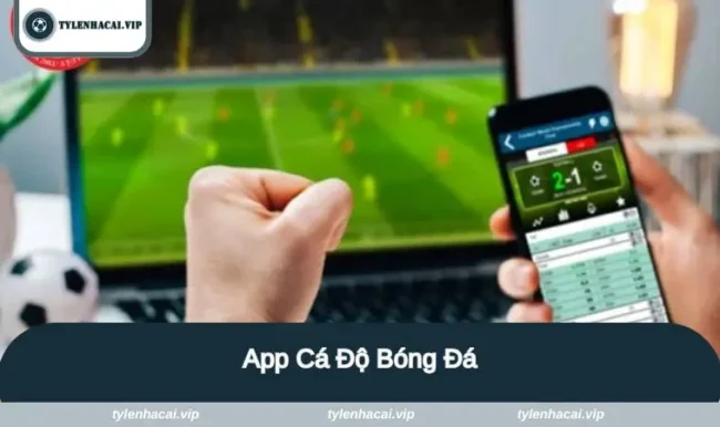 app ca do bong da avt app ca do bong da avt