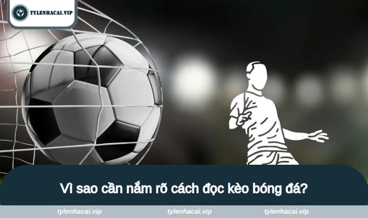 cach doc keo bong da 1 Tìm hiểu lý do tại sao cần nắm rõ cách đọc kèo bóng đá