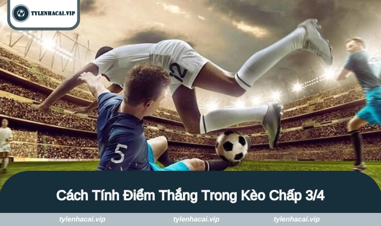 keo chap 3 4 2 Hướng dẫn cách đọc kèo chi tiết nhất dành cho người mới