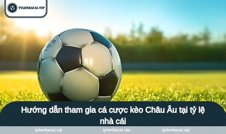keo chau au 3 Hướng dẫn tham gia cá cược kèo Châu  Âu tại tỷ lệ nhà cái