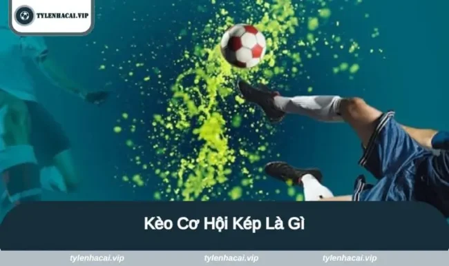 keo co hoi kep la gi keo co hoi kep la gi
