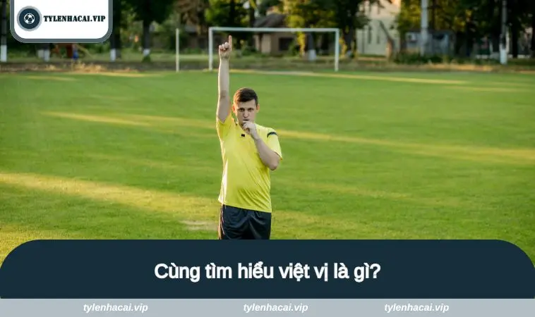 viet vi la gi 1 Cùng tìm hiểu việt vị là gì?
