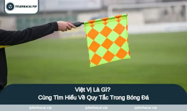 viet vi la gi anh dai dien Việt vị là gì