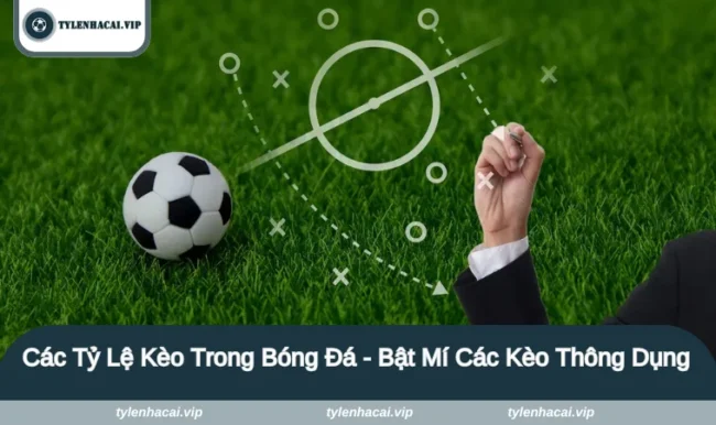 cac ty le keo trong bong da 1 Các tỷ lệ kèo trong bóng đá