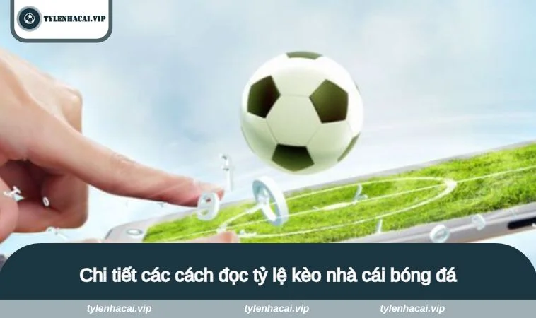 cach doc ty le keo nha cai 1 Chi tiết các cách đọc tỷ lệ kèo nhà cái bóng đá