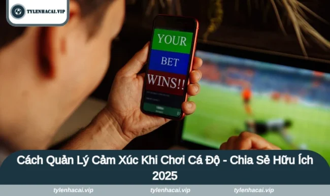 cach quan ly cam xuc khi choi ca do 1 Cách quản lý cảm xúc khi chơi cá độ