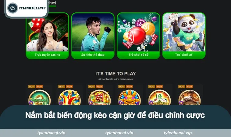 keo 0 5 4 Nắm bắt biến động kèo cận giờ để điều chỉnh cược