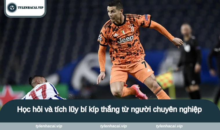 keo tai xiu la gi 4 Học hỏi và tích lũy bí kíp thắng từ người chuyên nghiệp