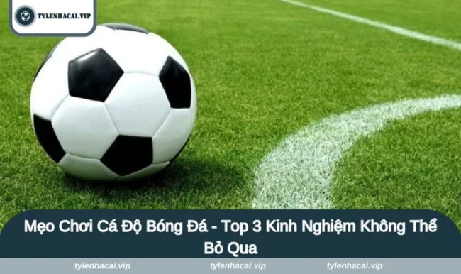 meo choi ca do bong da Mẹo Chơi Cá Độ Bóng Đá