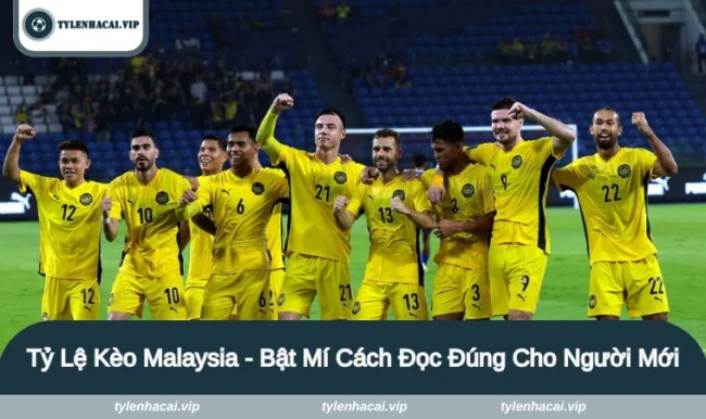 ty le keo malaysia 1 Tỷ lệ kèo Malaysia