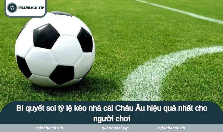 ty le keo nha cai chau au 3 Bí quyết soi tỷ lệ kèo nhà cái Châu Âu hiệu quả nhất cho người chơi