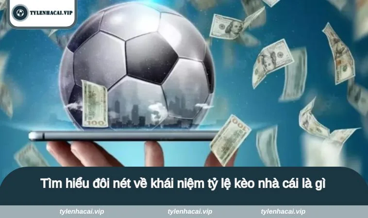 ty le keo nha cai la gi 1 Tìm hiểu đôi nét về khái niệm tỷ lệ kèo nhà cái là gì