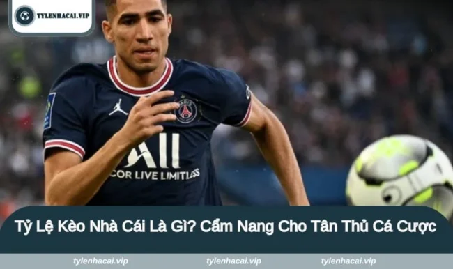 ty le keo nha cai la gi Tỷ Lệ Kèo Nhà Cái Là Gì