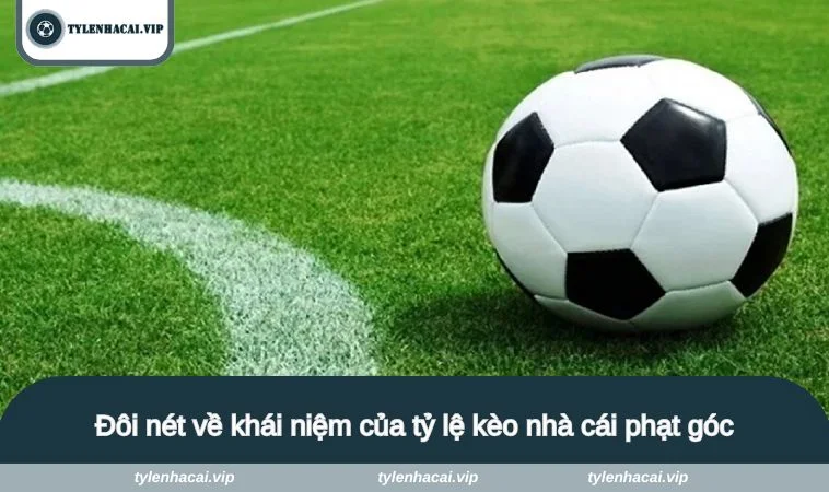 ty le keo nha cai phat goc 1 Đôi nét về khái niệm của tỷ lệ kèo nhà cái phạt góc