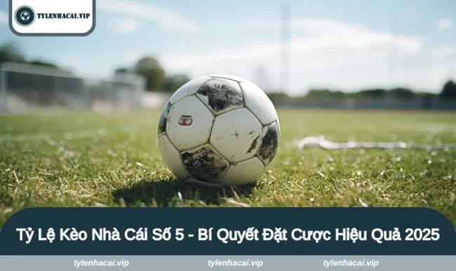 ty le keo nha cai so 5 1 tỷ lệ kèo nhà cái số 5
